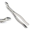 PC EXTRACTING Forceps # 53L Dental Instruments