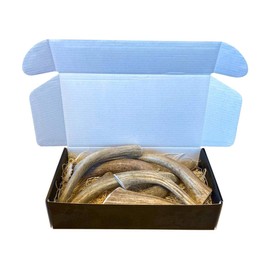 The Antler Box Premium Deer Antler Dog Chews (1 lb Bulk Pack) (Medium (5 Antlers/lb)…