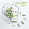 Cap Biotina Cola De Caballo Colágeno Protección Cabello Blen