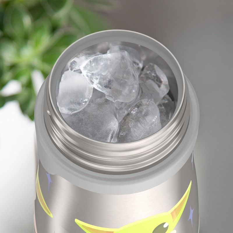 THERMOS - Botella de acero inoxidable aislada al aspiradora de
