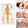 Chinese and English Acupoint Wall Chart Front Large Size Comprehensive