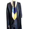 GRADWYSE Business Administration MBA Master Hood Graduation Master Degree Hood,