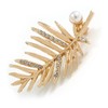 Gold Tone Crystal Palm Leaf Brooch - 45mm Long