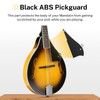 Donner A Style Mandolin Instrument Sunburst Beginner Adult Acoustic Mandolin