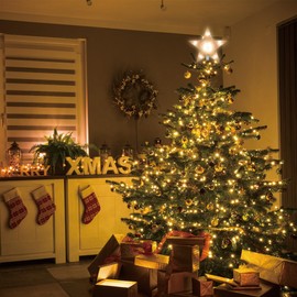 LAMPHOME 12" 10L Star Tree Topper, Lighted Glitter Christmas Treetop, Christmas Decorations for Xmas Tree Home Bar Shop Christmas Decor, Lighted Frosted White Star Tree Topper, Warm White