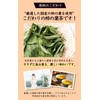 Natural Feast Persimmon Leaf Tea, Made in Japan, Tea Bag,