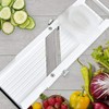 Benriner Mandoline Slicer with 4 Blades, Japanese Stainless Steel, BPA
