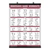 Palace Learning QUICKFIT Resistance Bands Workout Exercise Poster - Double