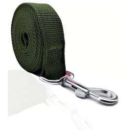 TAIAN 4FT/5FT/6FT Strong Dog Leash, Nylon Dog Leashes for Small Medium Large Dogs (3/4 in x 5 ft, Green)