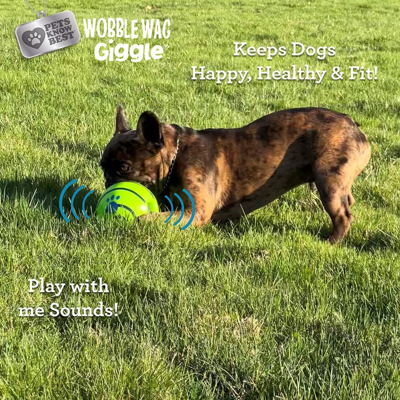 Wobble Wag Giggle Ball | Rolling Enrichment Toy for Fun