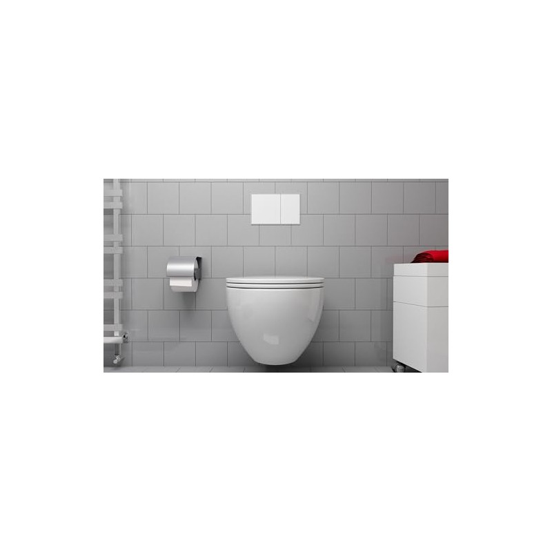 Fischer 9 B, WB 9B, Concealed Toilet and Bidet Fixing