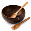 HANXIANG 3PCS Coconut Bowl and Wooden Spoon Set