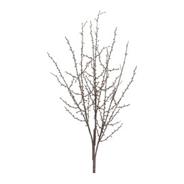 Melrose International Birch Branch (Set of 6) 41" H Plastic