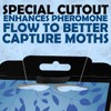 Professor Killamoth Pantry Moth Traps 6 Pack | New Blue