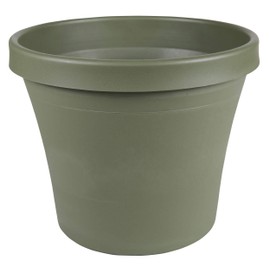 Bloem Terra Pot Planter 8" Living Green