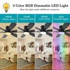 52inch Black Ceiling Fans with Lights and Remote/App Control, Low