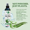 Earth's Daughter Organic Aloe Vera Gel from 100% Pure and
