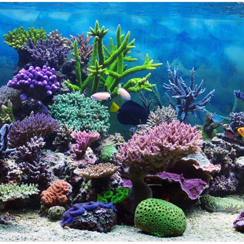 PVC Adhesive Underwater Coral Aquarium Fish Tank Background Poster Backdrop