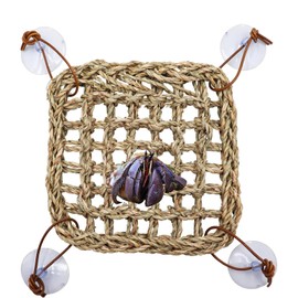 XUTONG Hermit Crab Climbing Toys, Seagrass Mat Lizard Hammock with Suction Cup, Natural Seagrass Woven Net, Tank Accessories for Small Reptiles Hermit Crab Lizard Hamster Guinea Pig Rats 7.1 x 7.1 in