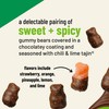Snak Club Snak Club Tajin Chocolatey Gummy Bears, Assorted Chocolate