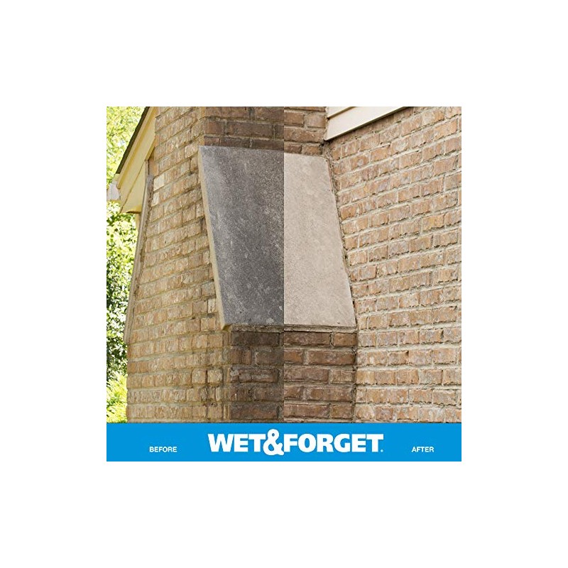Wet & Forget Outdoor Moss, Mold, Mildew, & Algae Stain