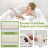 Esponja de lufa natural para la espalda, exfoliante corporal, exfoliante