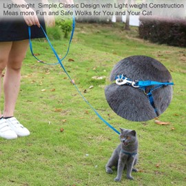 AMAGOOD 6 FT Puppy/Dog Leash, Strong and Durable Traditional Style Leash with Easy to Use Collar Hook,Dog Lead Great for Small and Medium and Large Dog (3/8 in x 6 ft(Pack of 1), Blue)