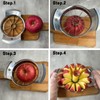 6.9 Inch Stainless Steel Large Apple Slicer,12 Slice Heavy Duty