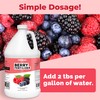 Berry Fertilizer, Complete Liquid Strawberry and Blueberry Plant Food, Great