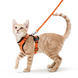 rabbitgoo Cat Harness and Lead Set, Escape Proof Kitten Harness with Leash, Metal Ring, Lightweight Soft, Reflective Adjustable Vest for Small Cat Walking Travel XS, Orange
