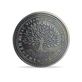 AtSKnSK Tempus Fugit Coin - Memento Mori Skull Commemorative Coin - Life and Death Challenge Coin - Stoic Collector's Coin and Gift for Philosophy Lovers