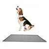 Pet Placemat Prevent Spill Dishwasher Safe Slip Proof Waterproof Silicone