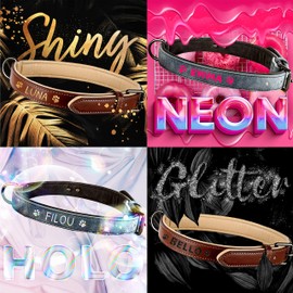 ne&no® Collar and Lead Set (Vegan Leather) Dog Lead with Collar, Robust Dog Lead with Carabiner, 1.2 m Dog Leash, Flexible and Extra Soft (S, Blue/Anthracite)