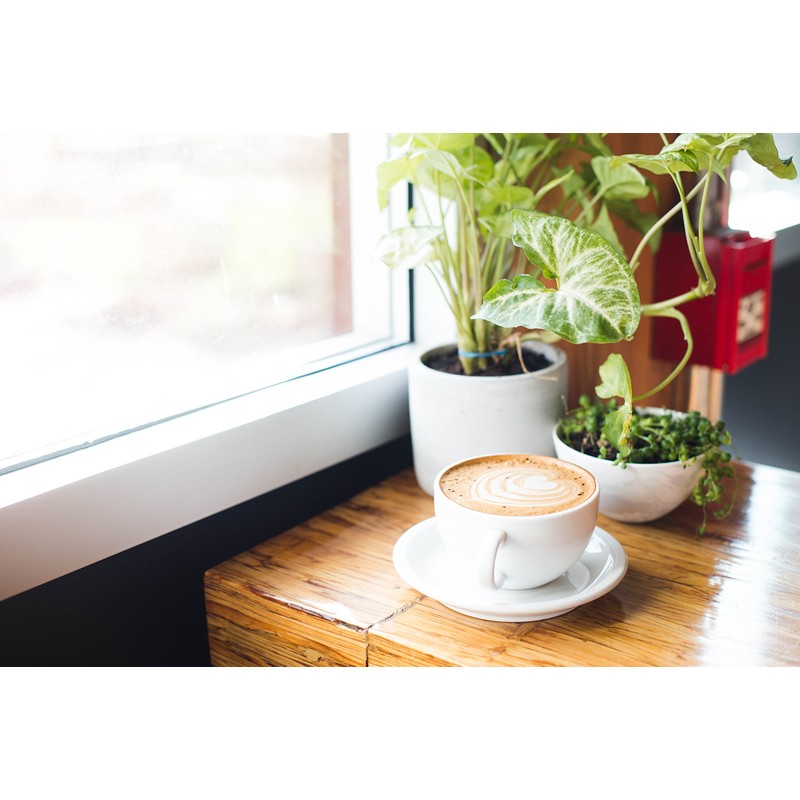 Bean Around The World Coffees Organic Espresso Coffee, 340g, 12