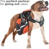 Edipets, Dog Lead, Extendable, Retractable, 3, 5 and 8 Metres,