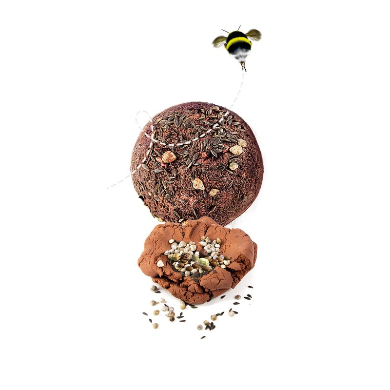 Clementoni - Science Seeds Bombs - Play for Future Scientific