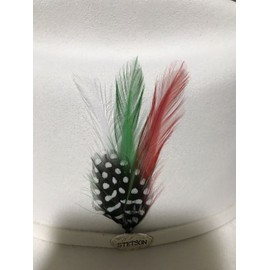 STETSON® “GENUINE” CLASSIC COWBOY HAT FEATHER