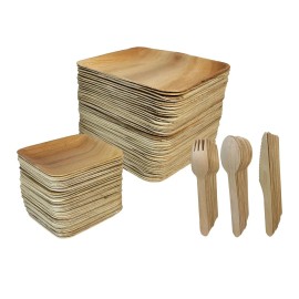 VerTerra Eco-Friendly Palm Plates & Wooden Cutlery, 250-count