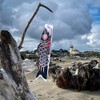En la brisa peces koi Windsock, 36 pulgadas, Negro