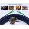 Elfcam - Armored Fiber Optic Cable SC/APC to SC/APC Simplex