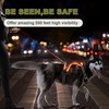 BiPawTi LED Light Up Dog Harness for Safety Night Walking,