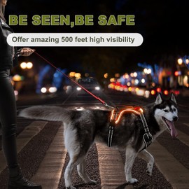 BiPawTi LED Light Up Dog Harness for Safety Night Walking, Glow in The Dark Soft Mesh Dogs Vest Lighted USB Rechargeable - Reflective Harness for Dogs, Illuminated No Pull Dog Vest (Orange, XL)