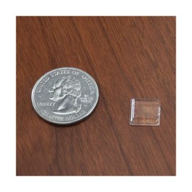 Dulles Glass Square Clear Rubber Table Top Bumpers - Adhesive - 1 Box - 11 pcs