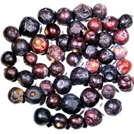 Nelson's Tea - Juniper Berries - Whole (1 oz)