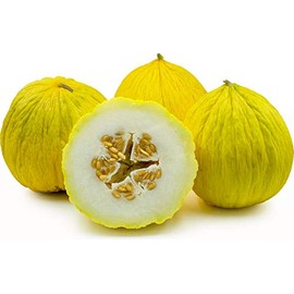 Cantaloupe Melon Casaba Golden Beauty Great Heirloom Vegetable by Seed Kingdom 50 Seeds