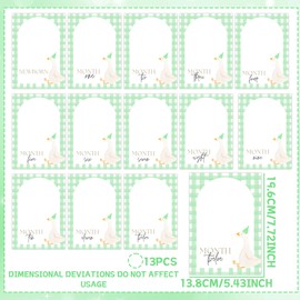 Green One Silly Goose Photo Banner Silly Goose 1st Birthday Decoration Goose Themed Photo Picture Banner Girl First Birthday Party Supplies Favors