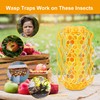 Sancodee 2 Pack Upgraded Wasp Trap Outdoor Hanging, Carpenter Bee