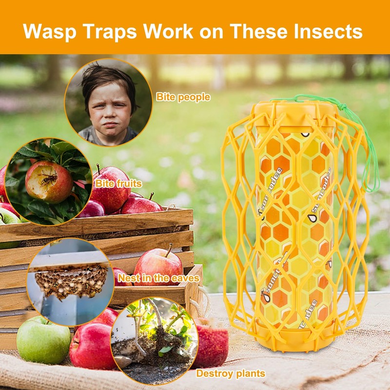 Sancodee 2 Pack Upgraded Wasp Trap Outdoor Hanging, Carpenter Bee