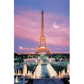 TOMAX Paris, France 1000 Piece Glow-in-The-Dark Jigsaw Puzzle