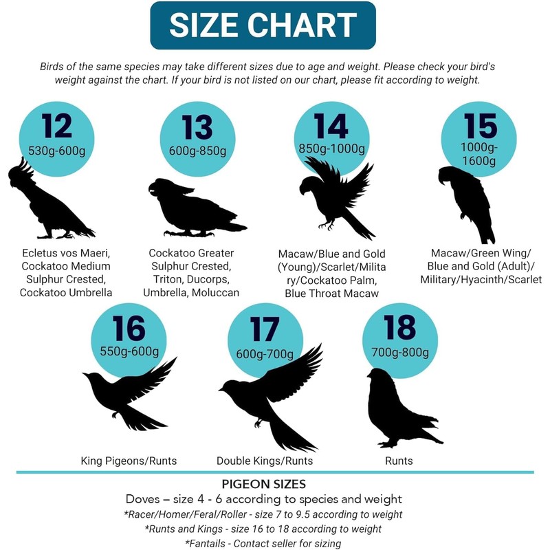 Bev's Birds Boutique Regular Flyper - Bird Diaper (13, Retro